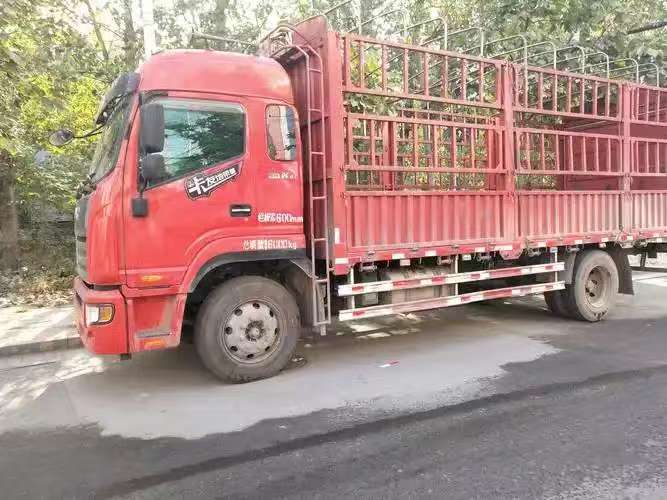 高效變現(xiàn) 二手車(chē)免費(fèi)上門(mén)回收電話(huà)一打就到